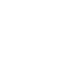 SFS Logo White Version